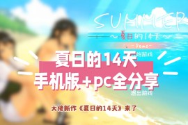 夏日的14天	