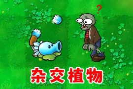 植物大战僵尸杂交版（pc）