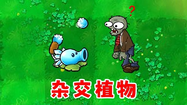 植物大战僵尸杂交版修改器,20250430201547932.jpg,第1张